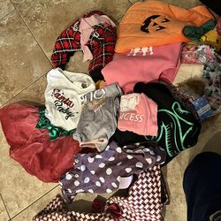 Dog puppy girl clothes