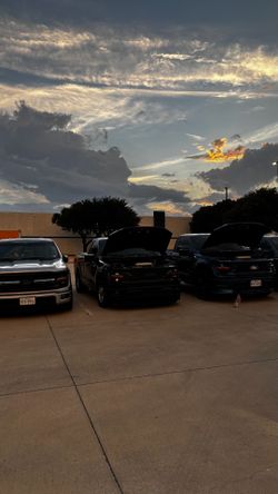 Professional Detailer