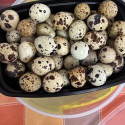 Quail Eggs