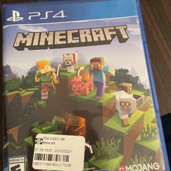 Minecraft Video game