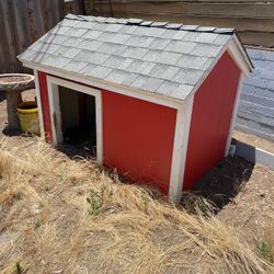 Dog House 