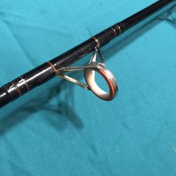 Salt Water Fishing Rod 6’3”