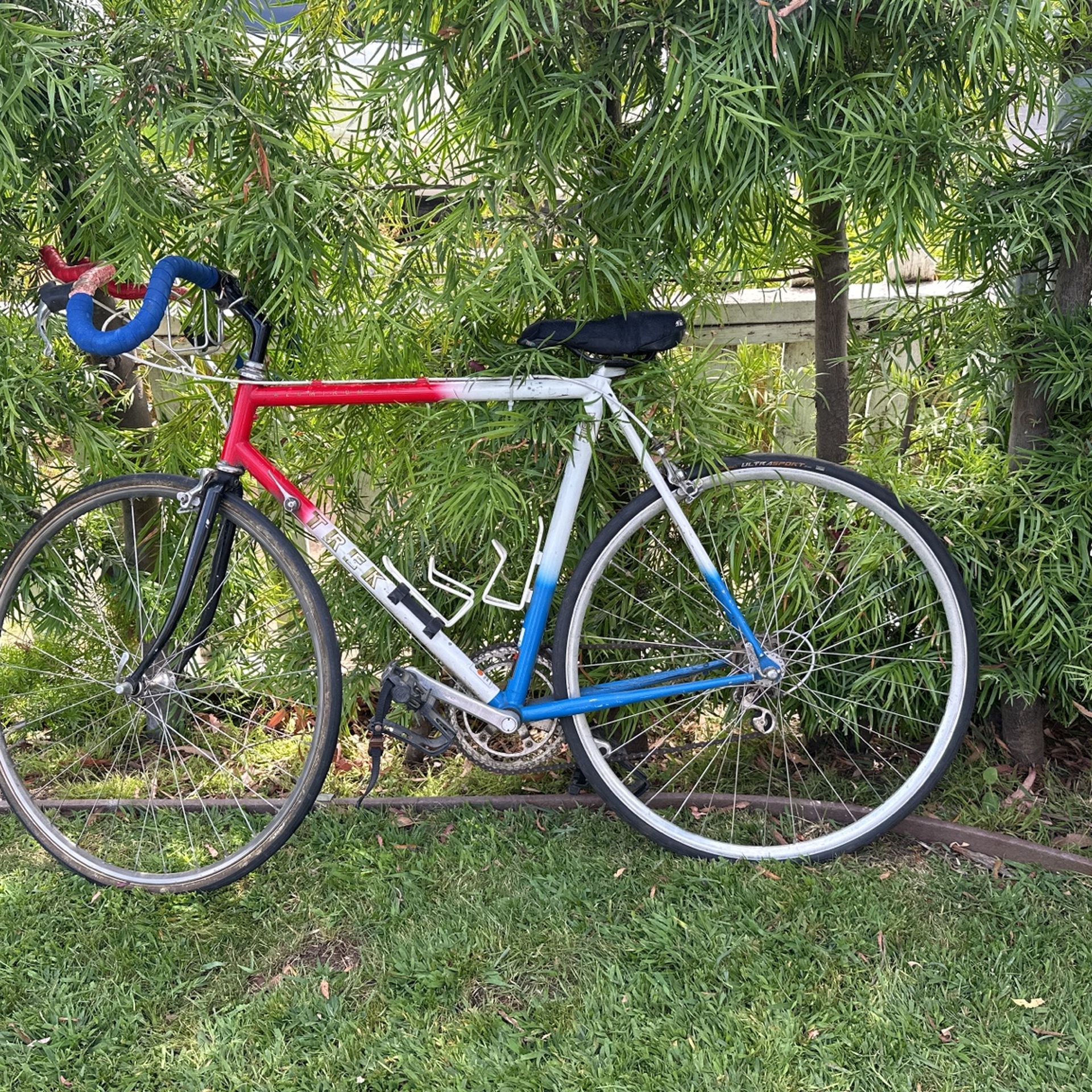 Trek Road Racing Bike