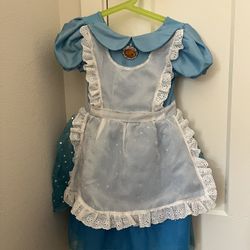 Alice The Wonderland Princess Dress Halloween Costume 