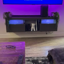 Entertainment Center