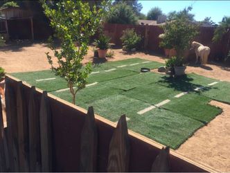 used artificial grass- alpine.ca