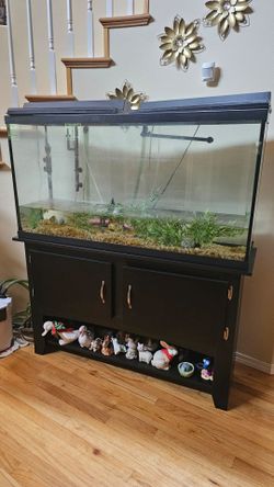 Free fish tank , 55 gallons  with storage stand