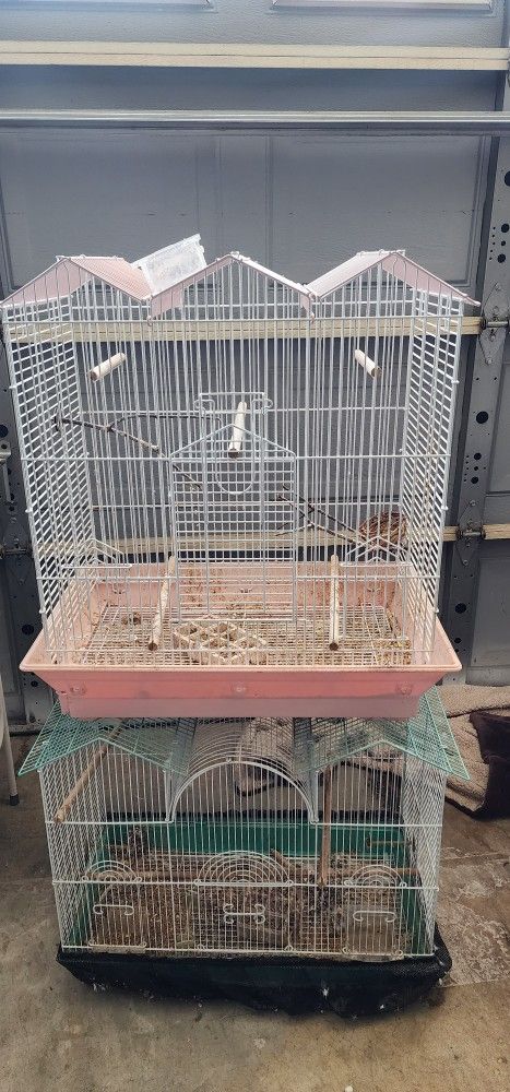 Bird Cages