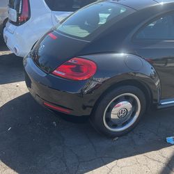 Nice 2012  Black Beetle