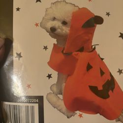 Pet Halloween Costume 