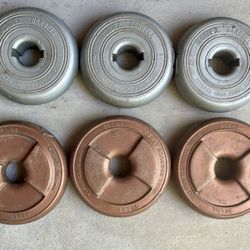 2 1/2 lbs Plastic/Cement Weight Plates