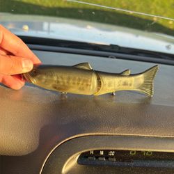 Slide Swimmer 175F (bass)