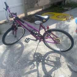 Magna Mountain Bike (NOT ACTUALLY FREE)