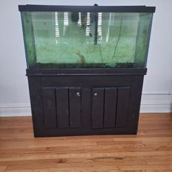 Fish Tank & Stand