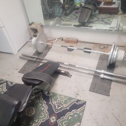 Today Only Olympic Weights And Barbell And Giant Mirror