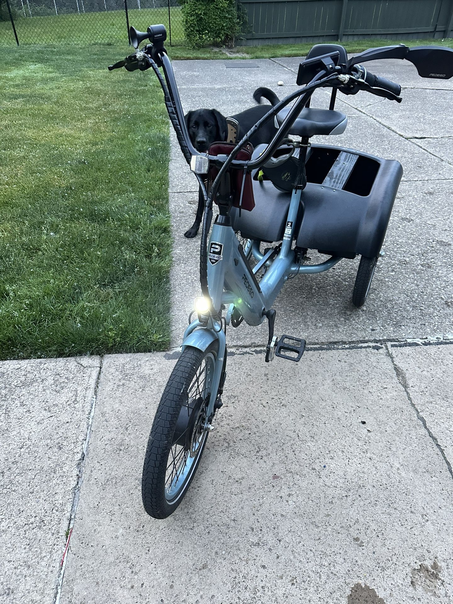 Pedigo Trike