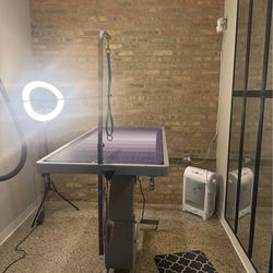 Dog grooming table