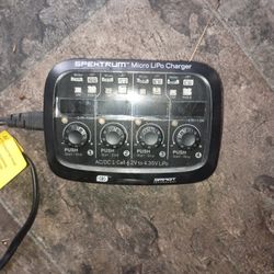 S P E K T R U M Micro Lipo Charger