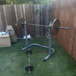 Bench Press And Curling Bar