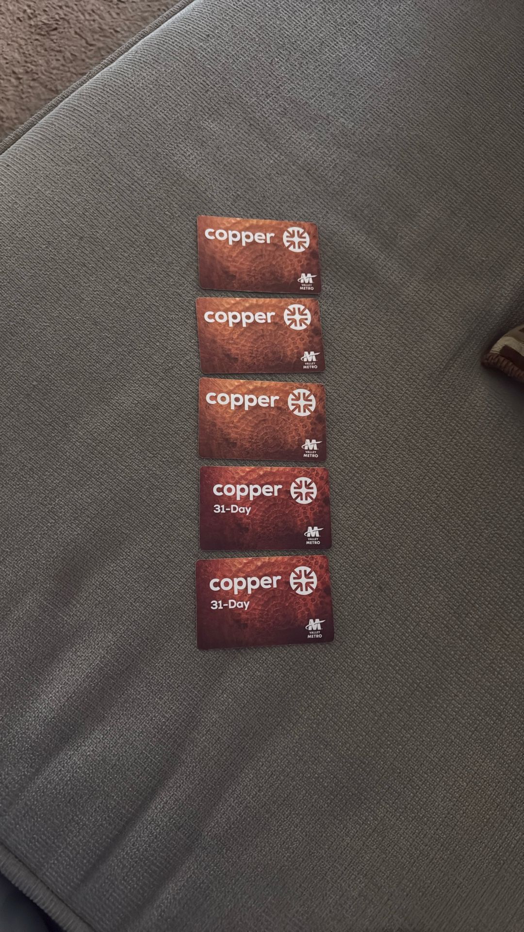 31 Day Copper Valley Metro Cards