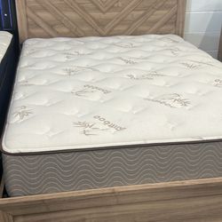 Queen Bed Frame. Dresser. Mirror. One Nights Stand. NO MATTRESS 