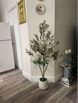 Pretty artificial plant Olive 🫒 tree 5 ft tall with planter
