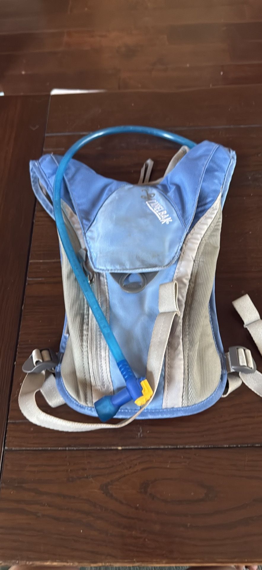 Camelbak Charm Hydration Pack With 1.5L Bladder