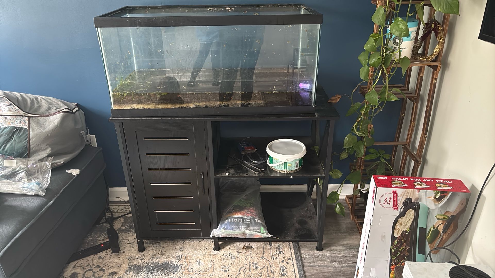 Fish Tank And Stand