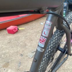 Giant Bike