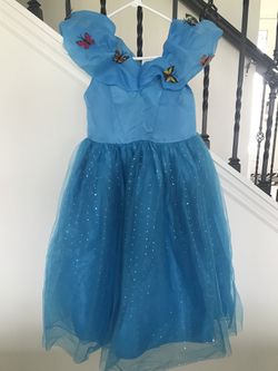 Cinderella Butterfly Costume