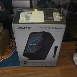 dolphin 8inch karaoke speaker