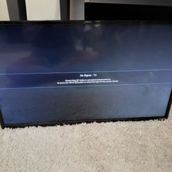 Vizio 32" Dumb TV 