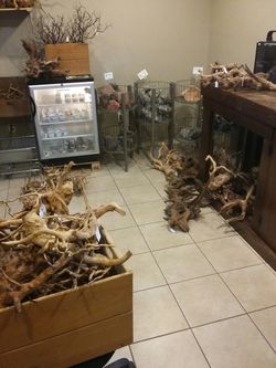 New sale @ aquarium store in Orlando