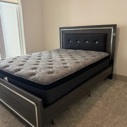 Bed Frame and Mattress 