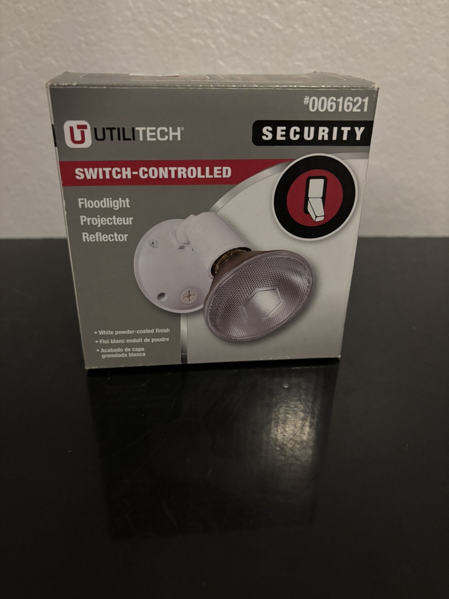 Security Light
