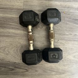 10 Lbs Dumbbells 