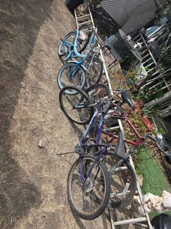Bikes