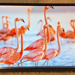 ASUS VP348 34" PC Monitor Screen