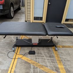 Massage Bed/Multi-Use Table 