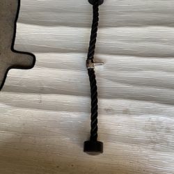 Triceps Rope Pull Down