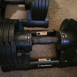 Stairmaster adjustable weights
