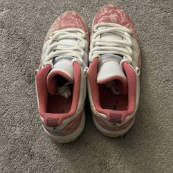 Jordan 11 snake skin