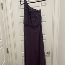 Plum long Dress For Special Occasions 
