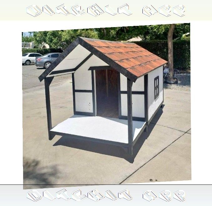 Pet Houses in Every Form - Perfect Size for All Animals draw blood