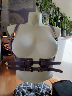 Pastel/pastel goth harness