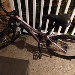 Diamondback Mountain Bike