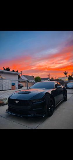 2025 Ford Mustang