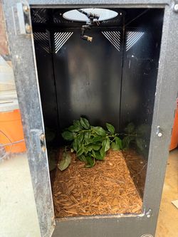 Arboreal Crested Gecko Reptile Tank