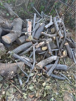 Free fire wood