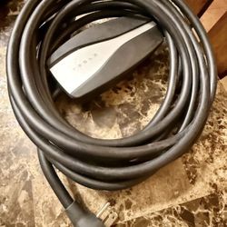 Tesla Power Charger 120v